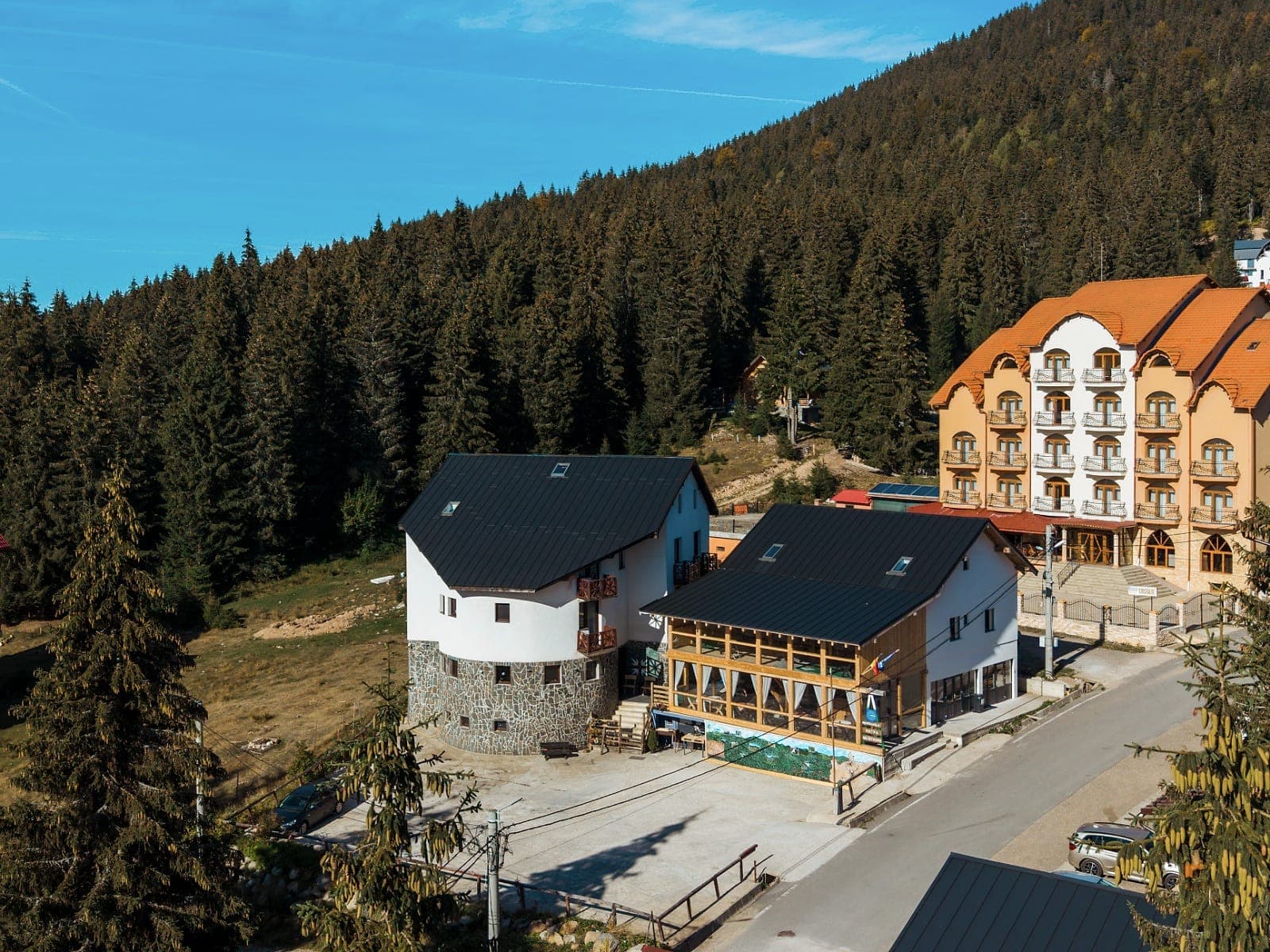The guesthouse from above, with the road in front and the spruce-covered slope